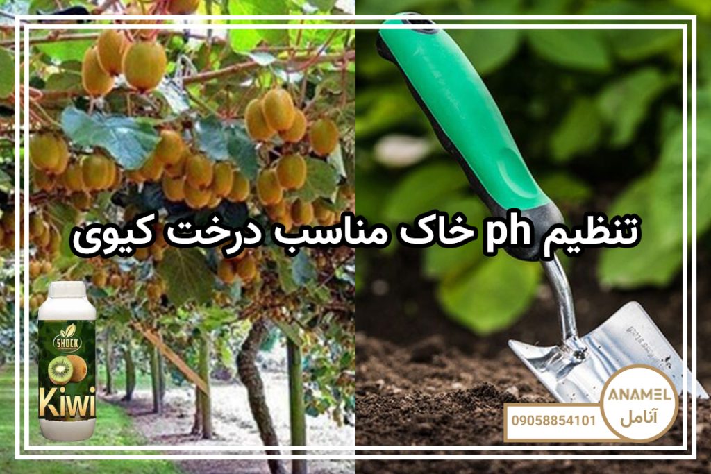 تنظیم ph خاک مناسب درخت کیوی