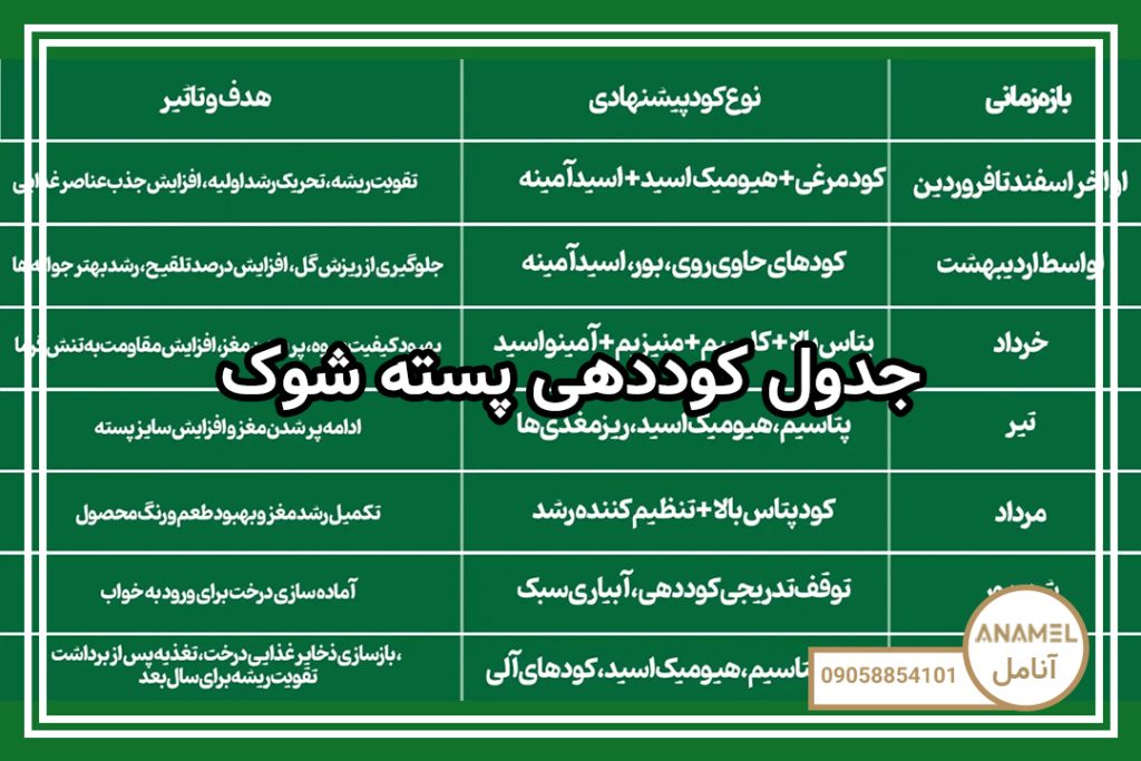 جدول کوددهی پسته شوک
