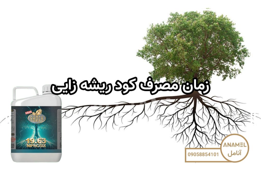 زمان مصرف کود ریشه زایی