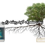 زمان مصرف کود ریشه زایی