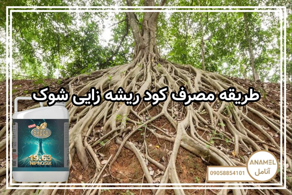 طریقه مصرف کود ریشه زایی شوک
