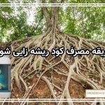 طریقه مصرف کود ریشه زایی شوک
