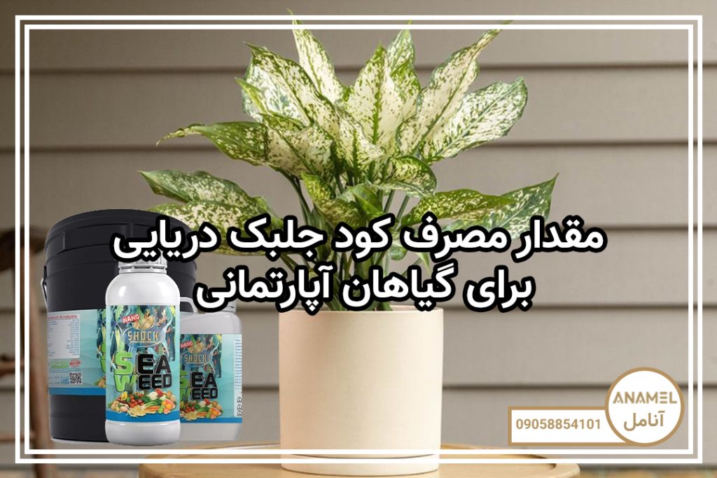 مقدار مصرف کود جلبک دریایی برای گیاهان آپارتمانی