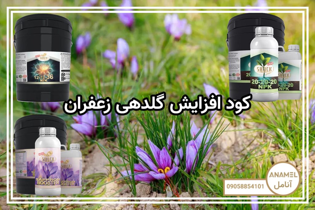 کود افزایش گلدهی زعفران