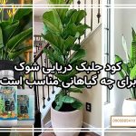 کود جلبک دریایی برای چه گیاهانی مناسب است