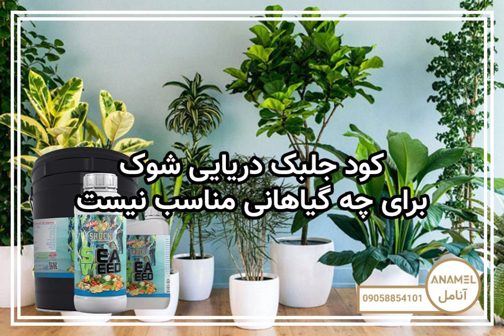 کود جلبک دریایی برای چه گیاهانی مناسب نیست