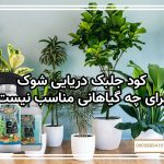 کود جلبک دریایی برای چه گیاهانی مناسب نیست