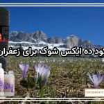 کود ده ایکس شوک برای زعفران