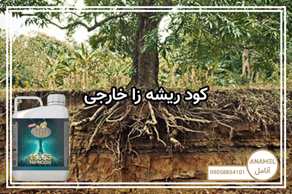 کود ریشه زا خارجی