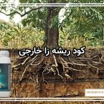 کود ریشه زا خارجی