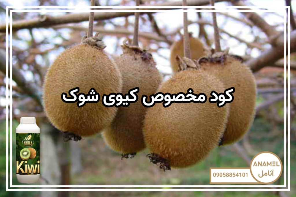 کود مخصوص کیوی شوک
