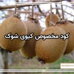 کود مخصوص کیوی شوک