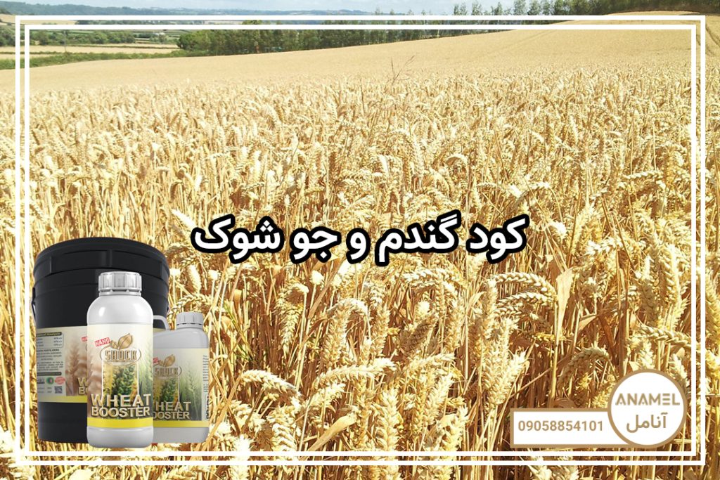 کود گندم و جو