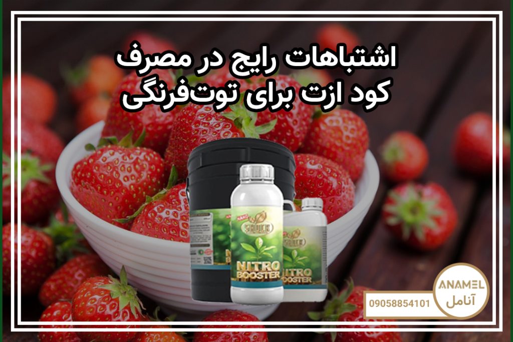 اشتباهات رایج در مصرف کود ازته برای توت‌فرنگی