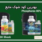 بهترین کود شوک مایع