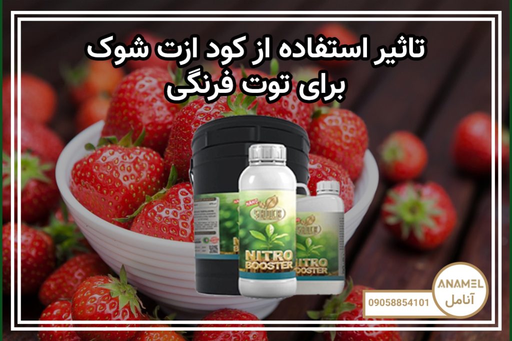تاثیر استفاده از کود ازت شوک برای توت فرنگی