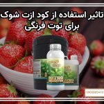 تاثیر استفاده از کود ازت شوک برای توت فرنگی