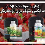 زمان مصرف کود ازت و ده ایکس شوک برای توت‌فرنگی