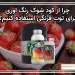 چرا از کود شوک رنگ اوری برای توت فرنگی استفاده کنیم؟
