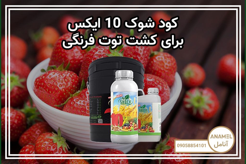 کود شوک 10 ایکس برای کشت توت فرنگی