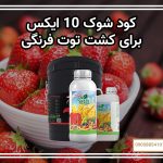 کود شوک 10 ایکس برای کشت توت فرنگی