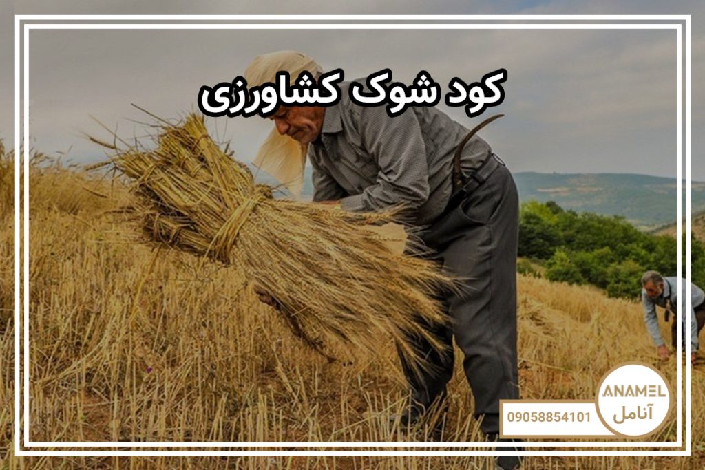 کود شوک کشاورزی
