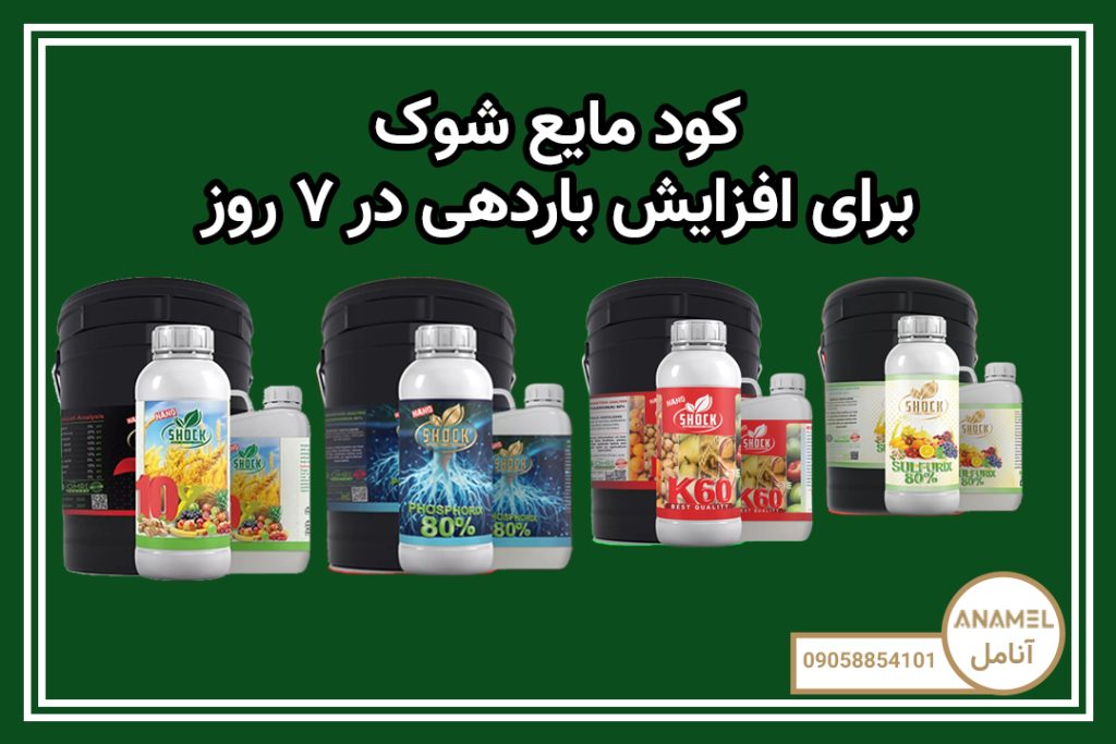 کود مایع شوک برای افزایش باردهی در ۷ روز!