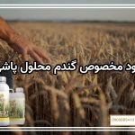 کود مخصوص گندم محلول پاشی