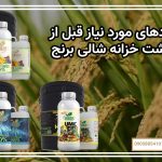 کودهای مورد نیاز قبل از کاشت خزانه شالی برنج