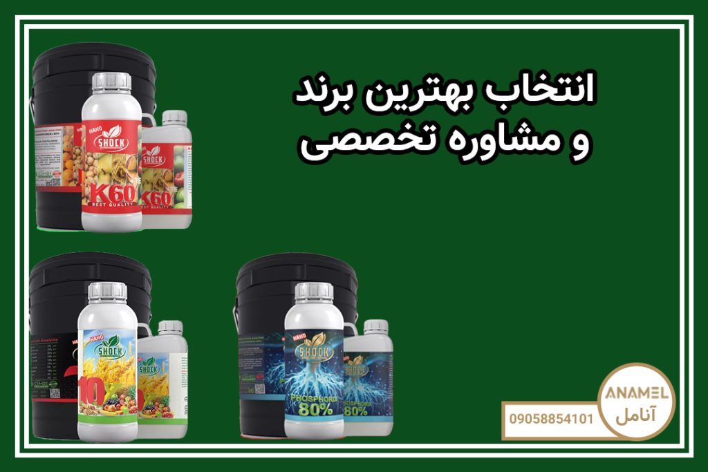 انتخاب بهترین برند و مشاوره تخصصی