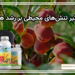 تأثیر تنش‌های محیطی بر رشد هلو