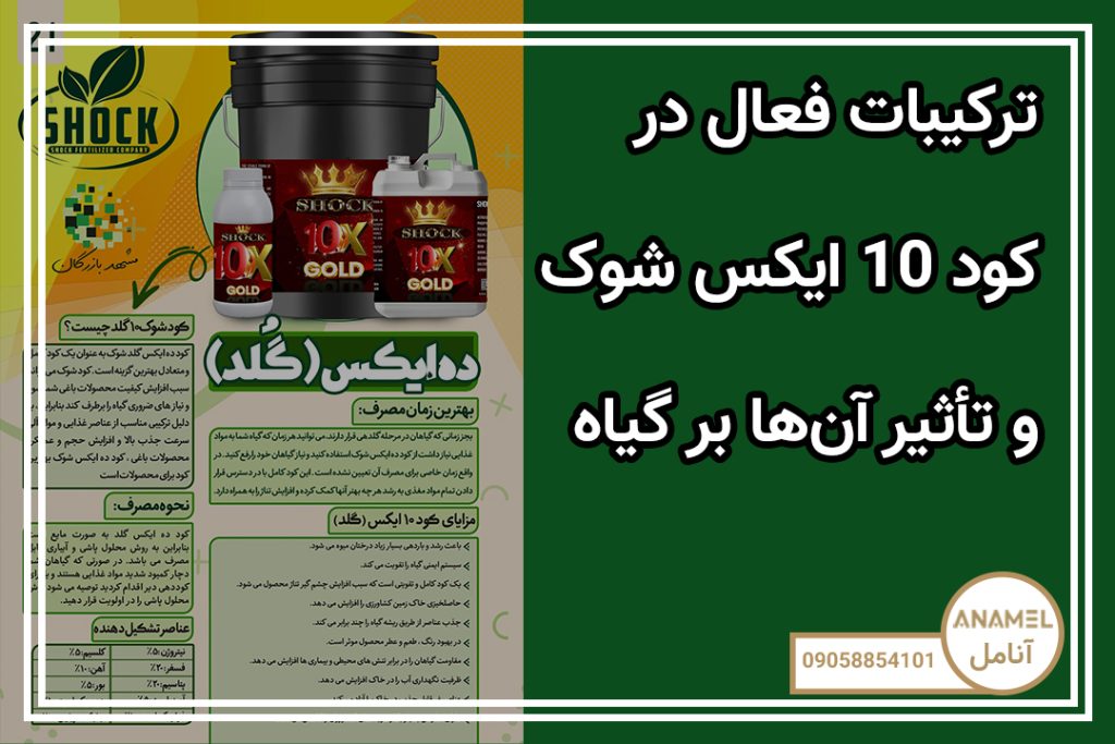 ترکیبات فعال در کود 10 ایکس شوک و تأثیر آن‌ها بر گیاه