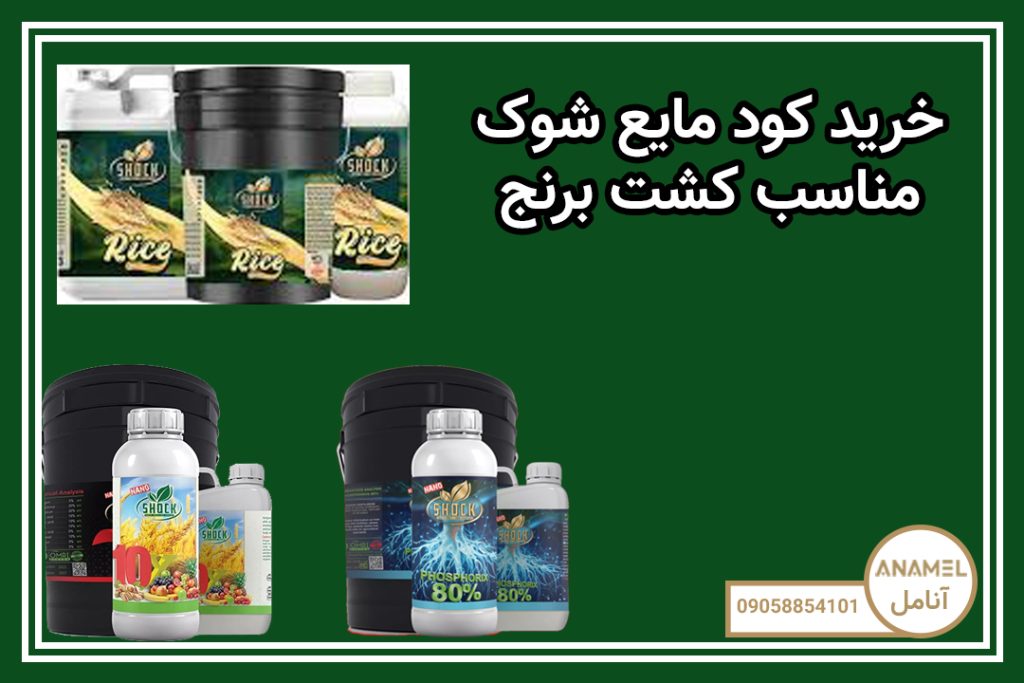 خرید کود مایع شوک مناسب کشت برنج