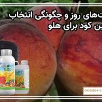 قیمت‌های روز و چگونگی انتخاب بهترین کود برای هلو
