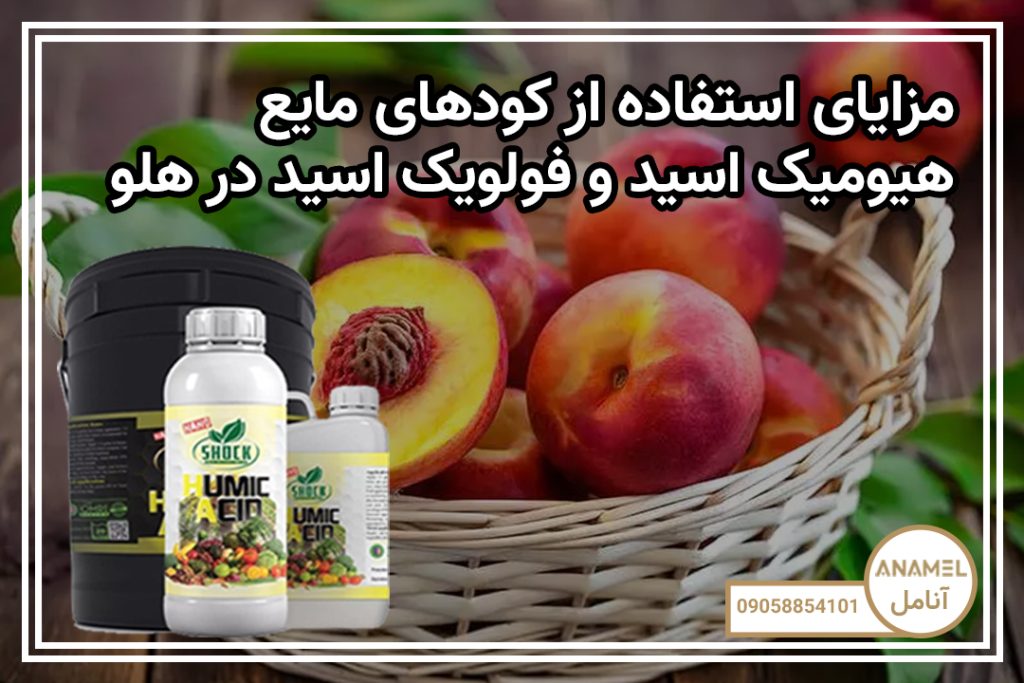 مزایای استفاده از کودهای مایع هیومیک اسید و فولویک اسید در هلو