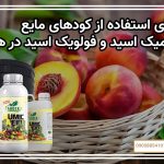 مزایای استفاده از کودهای مایع هیومیک اسید و فولویک اسید در هلو