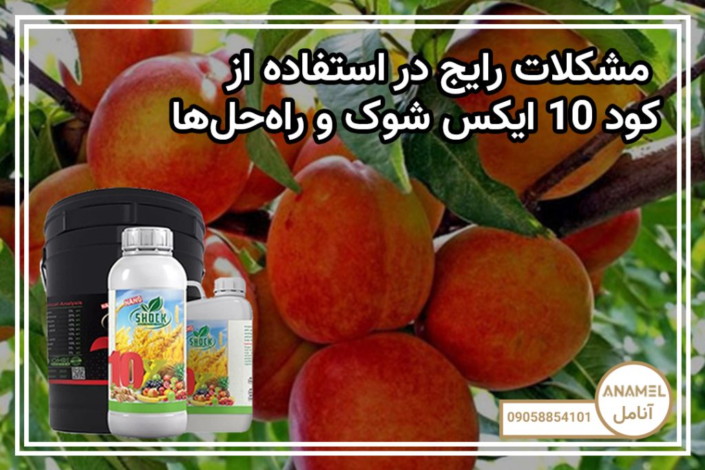 مشکلات رایج در استفاده از کود 10 ایکس شوک و راه‌حل‌ها