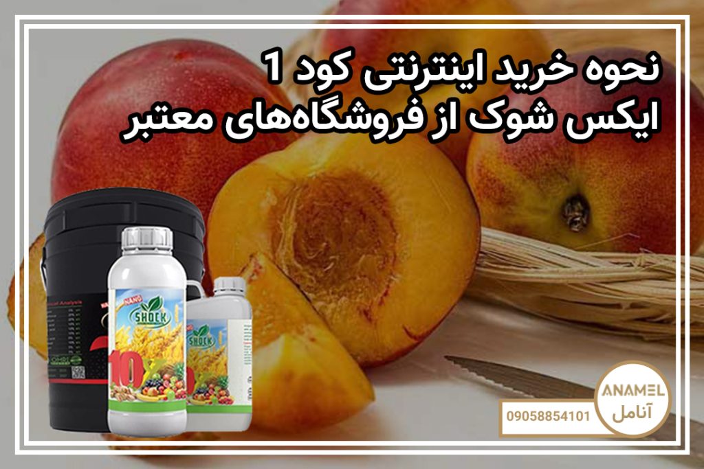 نحوه خرید اینترنتی کود 10 ایکس شوک از فروشگاه‌های معتبر