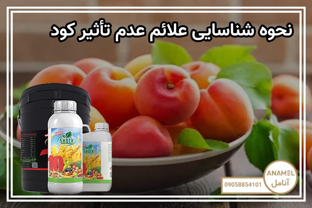نحوه شناسایی علائم عدم تأثیر کود