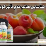 نحوه شناسایی علائم عدم تأثیر کود