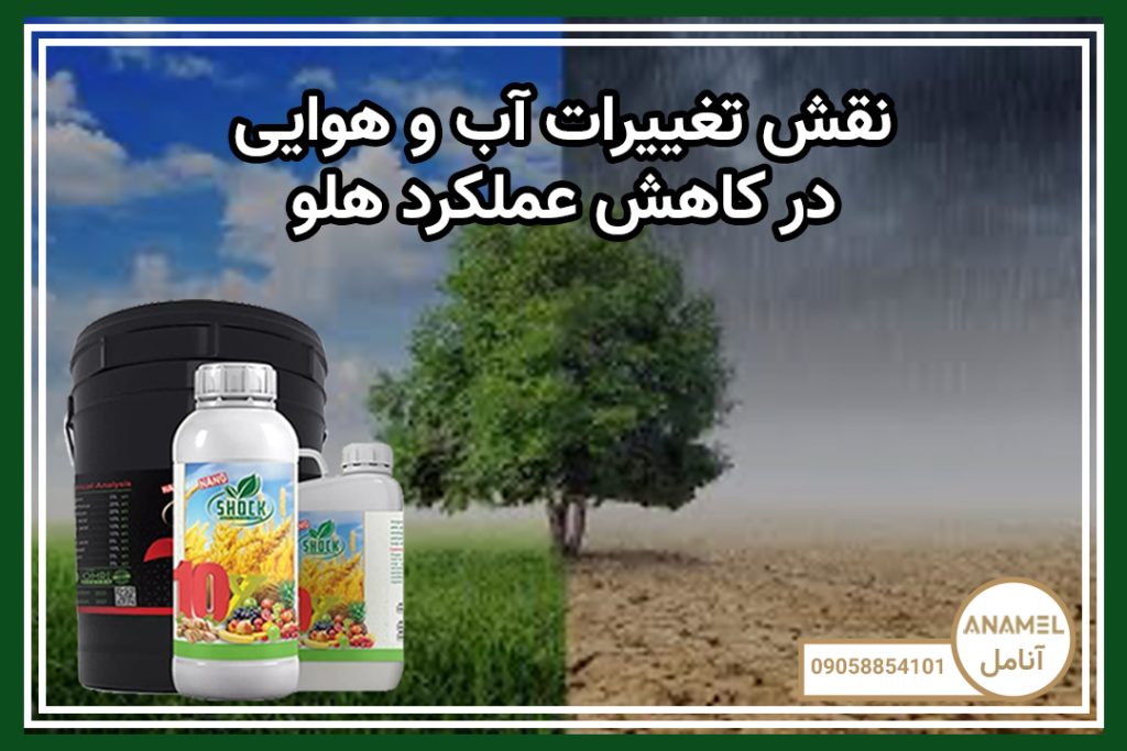 نقش تغییرات آب و هوایی در کاهش عملکرد هلو