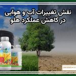 نقش تغییرات آب و هوایی در کاهش عملکرد هلو