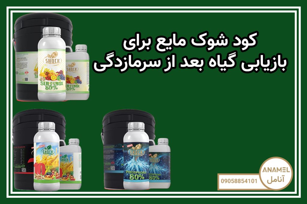 کود شوک مایع برای بازیابی گیاه بعد از سرمازدگی
