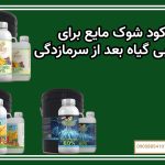 کود شوک مایع برای بازیابی گیاه بعد از سرمازدگی