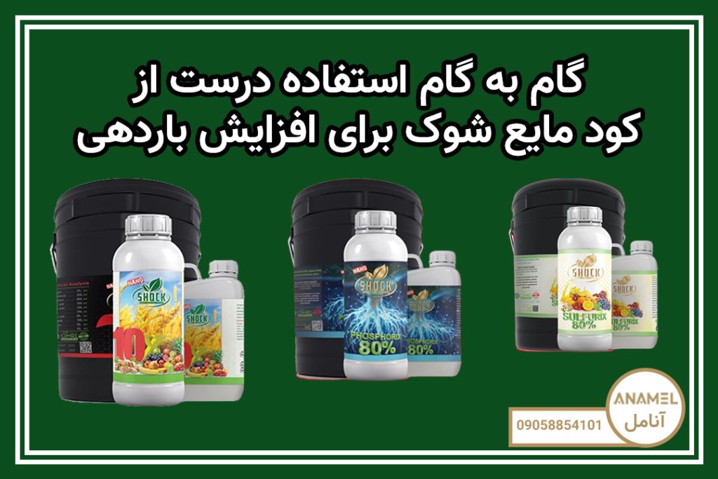 گام به گام استفاده درست از کود مایع شوک برای افزایش باردهی