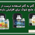 گام به گام استفاده درست از کود مایع شوک برای افزایش باردهی