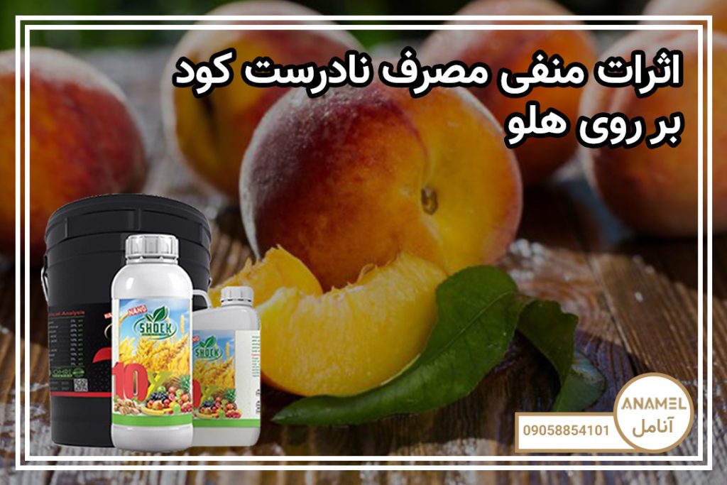 اثرات منفی مصرف نادرست کود بر روی هلو