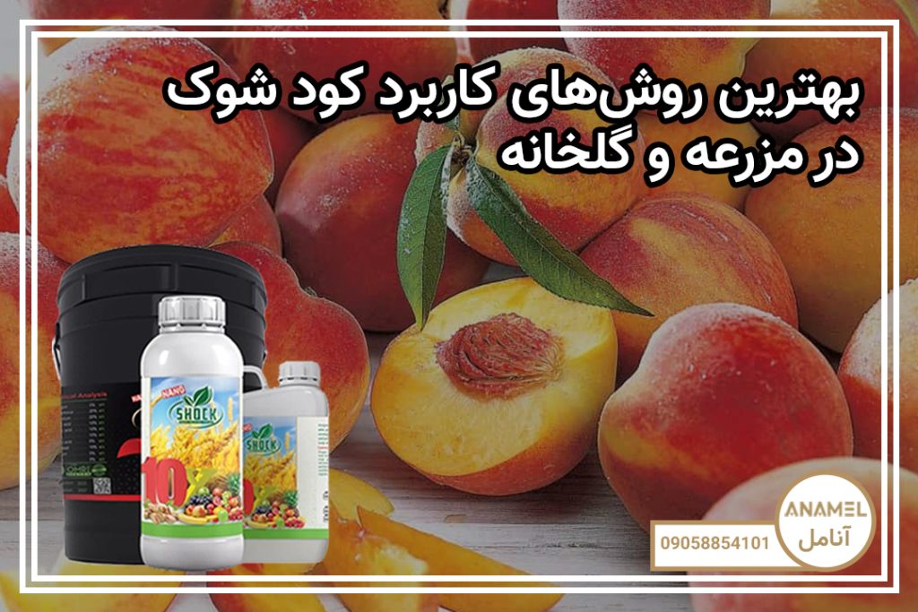 بهترین روش‌های کاربرد کود شوک در مزرعه و گلخانه