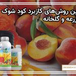 بهترین روش‌های کاربرد کود شوک در مزرعه و گلخانه