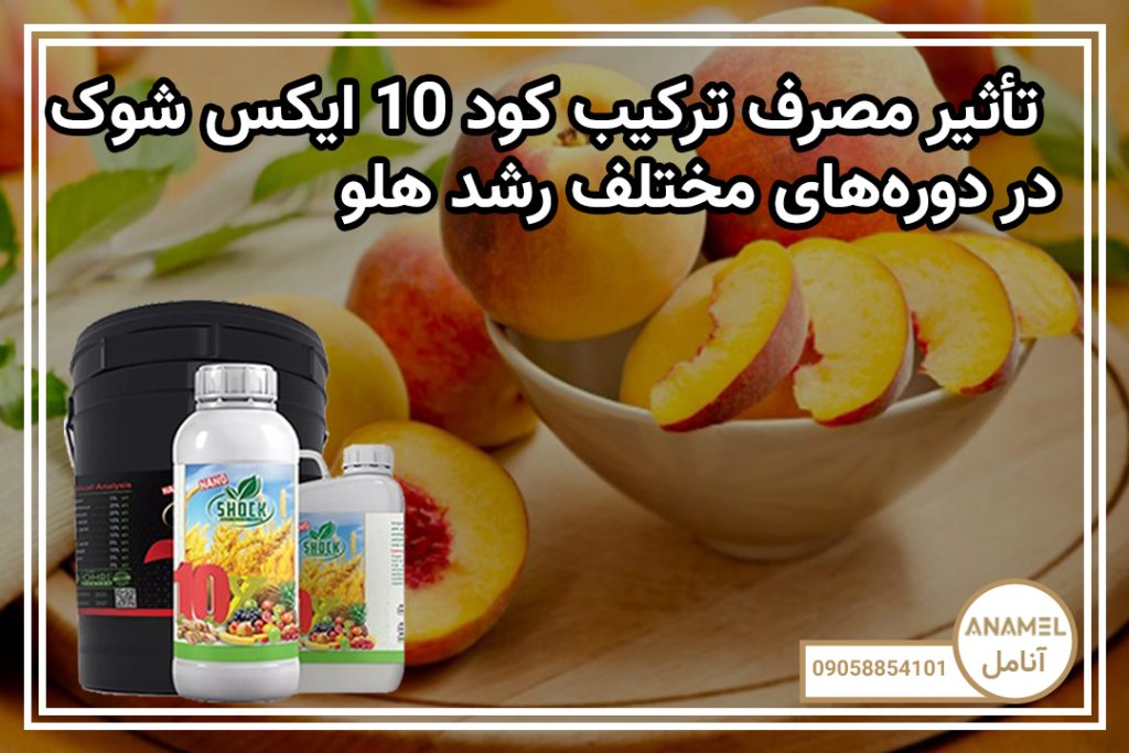 تأثیر مصرف ترکیب کود 10 ایکس شوک در دوره‌های مختلف رشد هلو